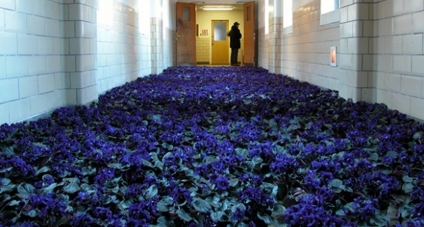 BLOOM-by-Anna-Schuleit-Blue-Hallway-main