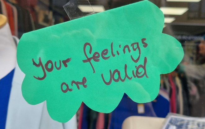 Your Feelings Are Valid Mind Cambridge © The Fine Line Project 2025-02-06 12.39.31